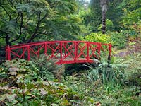Red oriental bridge at Abbotsbury Gardens - October