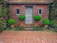 A line of Buxus - Box - balls in pots outside entrance to a brick   pavillion  
