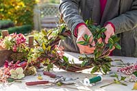 Woman adding sprigs of Hebe to willow wreath as form a green base for adding the berries and flowers