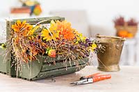Foliage and flowers in wooden trug on table ready for making an autumnal arrangement including Rudbeckia, Helenium, Dahlia, Salvia and ornamental grasses.
