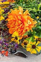 Close up detail of Foliage and flowers in wooden trug on table ready for making an autumnal arrangement including Helenium, Dahlia and Salvia. 