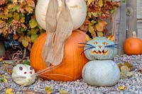Pumpkin cat made with Pumpkin 'Crown prince' and Pumpkin mouse made with Pumpkin Swan White 