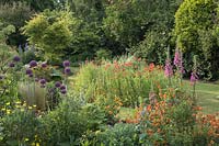 Colourful back garden with mixed borders including Alliums, Foxgloves, Angelica, Erisyium, Poppy