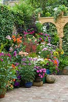 Small, paved courtyard garden in Moroccan style.Colourful bedding plants in containers with hostas. NGS Open Gardens, Cambridge.