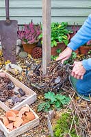 Woman adding wood chippings and dry sticks suitable for insects to overwinter to the bottom basket