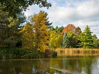 Looking across the lake at Bodenham Arboretum with lots of autumn colour and a blue sky. 