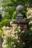 Rosa 'Phyllis Bide' and brick pillar by the front gate