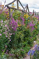 Rustic arches hold back wildlife-friendly borders of purple loosestrife, pink mallow and yellow Helianthus.