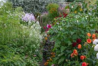 A narrow path squeezes past perennial borders of dahlias, feverfew, phlox, rudbeckias and abutilon, ending by a weeping silver pear.