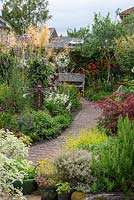 In a 7.5m x 14m back garden, a brick path leads to a bench, between side borders of herbs, acer and perennials, and a central bed planted with Stipa gigantea, Verbena bonariensis, hydrangeas, heleniums, alliums and penstemon.