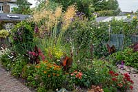 In a 7.5m x 14m back garden, a central bed is planted with Stipa gigantea, Verbena bonariensis, hydrangeas, heleniums, alliums, cannas, roses, dahlias, dierama and penstemon.