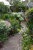 A brick path passes between borders of white penstemon, marguerites, gaura and outcrop of Hydrangea arborescens 'Annabelle'.