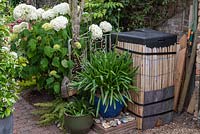 A compost bin is cleverly disguised with cane cladding. To left, pot of agapanthus and clump of Hydrangea arborescens 'Annabelle'.