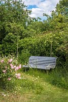 Reclaimed seat in wild garden with roses and honeysuckle
