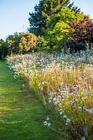 Wild flower meadows and borders
