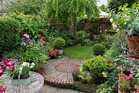 An 11m x 4m town plot has interlinked circles of paving and grass, leading to a rear deck shaded by a birch tree, Betula pendula. Pots of small-leaved holly balls,  Ilex crenata 'Kinme', add a formal touch beside winding beds of allium, peonies and roses, along with pots of perennials and annuals.