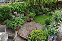 An 11m x 4m town plot has interlinked circles of paving and grass, leading to a rear deck shaded by a birch tree, Betula pendula. Pots of small-leaved holly balls,  Ilex crenata 'Kinme', add a formal touch beside winding beds of allium, peonies and roses, along with pots of perennials and annuals. add a formal touch beside winding beds of allium, peonies and roses, along with pots of perennials and annuals.