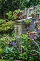 A small wooden shed is tucked away amidst ferns, hostas, tiarellas, hardy geranium 'Johnson's Blue', a maple and redbud 'Forest Pansy'.