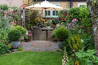 In small town garden, view back to patio by house clad in  Clematis 'Madame Julia Correvon', and shelving with  pots of nemesias or surfinias. RH bed planted with peonies, roses, alliums and yellow loosestrife.  In pots, small-leaved hollies,  Ilex crenata 'Kinme'. Fuchsias in pots on left fence panel.