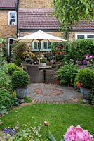 Seen over circular lawn and patio in small town garden, a  patio by house clad in  Clematis 'Madame Julia Correvon', and shelving with pots of nemesias or surfinias. Small-leaved hollies in pots.