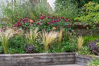 Raised beds planted with sun-loving, wildlife-friendly perennials and grasses in London garden.