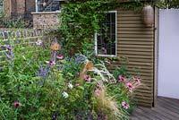Tucked away in the corner of urban plot, a garden shed clad in jasmine is seen through naturalistic border of sun-loving perennials.