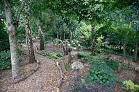 Woodland glade with winding path