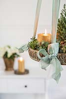 Detail of hanging advent arrangement with gold candles, miniature christmas tree and Eucalyptus and Hebe foliage