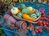 Green metal garden table with trug of squashes, allium seed heads, and Physalis alkekengi chinese lanterns