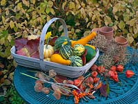 Green metal garden table with trug of squashes,allium seed heads, and Physalis alkekengi chinese lanterns