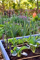Vegetable garden with kohlrabi, leek and spinach.