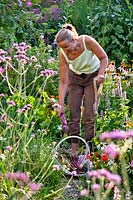 Woman harvesting beetroots and onions.