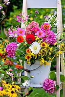 Bucket of cut summer flowers standing on stepladder.