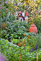 View to terracotta rhubarb forcer standing among vegetables, herbs and flowers in organic kitchen garden.
