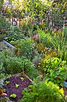 Vegetable garden with mixed beds including lettuce, carrots, nasturtium, marigold, lavender, dahlia, welsh onion, chives rosemary, basil, lemon balm.