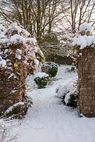 Stone pillars with Hydrangea petiolaris covered in snow and path leading between clipped Box balls
