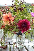 Dahlia 'Karma Naomi', rose hips, Crataegus monogyna - Hawthorn and Rubus fruticosus - Blackberry in glass jam jars