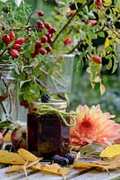 Home made jam with Rose hips, Crataegus monogyna - Hawthorn red berries, wild blackberrries - Rubus fruticosus agg, Dahlia, apples and fallen birch leaves, glass jam jars