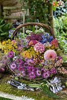 Basket of Summer cut flowers from cutting garden. Dahlias, Allium, Agapanthus Hydrangea, Nigella, Fennel.