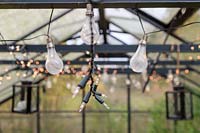 Fairy lights and clear bulbs suspended from a greenhouse roof