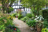 A brick path cuts diagonally through the garden, passing by two multi-stemmed Amelanchier lamarckii underplanted with perennials and shrubs, to arrive at a cottage