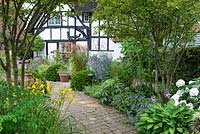 A brick path cuts diagonally through the garden, passing by two multi-stemmed Amelanchier lamarckii underplanted with perennials, to arrive at a cottage