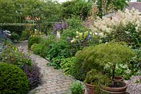 View over brick path and container plants to a full flower border. Plants include: Astrantia, Agastache 'Blackadder', Rosa 'The Lark Ascending' - English Shrub Rose, Veronicastrum virginicum and a froth of Persicaria polymorpha