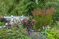 View over a bed of Nepeta, Allium, Echinops, Escallonia laevis 'Pink Elf' and a clump of Calamagrostis x acutiflora 'Karl Foerster', to a white picket fence and gate