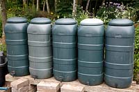 Row of water butts containing homemade comfrey liquid fertiliser in water butts at 10 Chestnut Way, Repton, Derbyshire - open for NGS - August