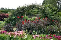 View over cutting garden with rows of Dahlia to an arch with trained Blackberry 