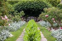 Formal garden with flagstone rill filled with Sagittaria latifolia.  The narrow lawn is edged  with Stachys byzantina and shrub roses 
