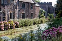 Hydrangea macrophylla and grasses along the banks of a moat 