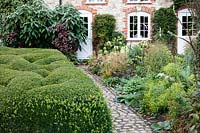 Cobbled path, cloud pruned Buxus - Box - and flower border in front of house