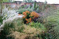 Autumn border with grasses and seedheads 
